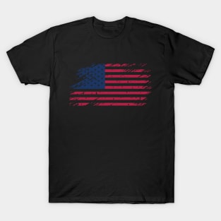 Flag USA. United States flag. American flag. National symbol of usa T-Shirt